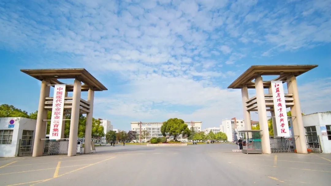 未畢業(yè)就定崗，一畢業(yè)就任教大學(xué)&hellip;&hellip;這所職校的學(xué)生緣何這么牛？