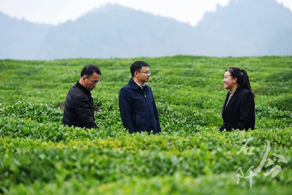 躬身為橋 緊盯供需連接山海 &mdash;&mdash;記廣東省粵黔協(xié)作工作隊(duì)銅仁工作組石阡小組組長，石阡縣委常委、副縣長李浩泉